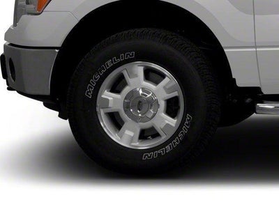 2010 Ford F-150 XLT