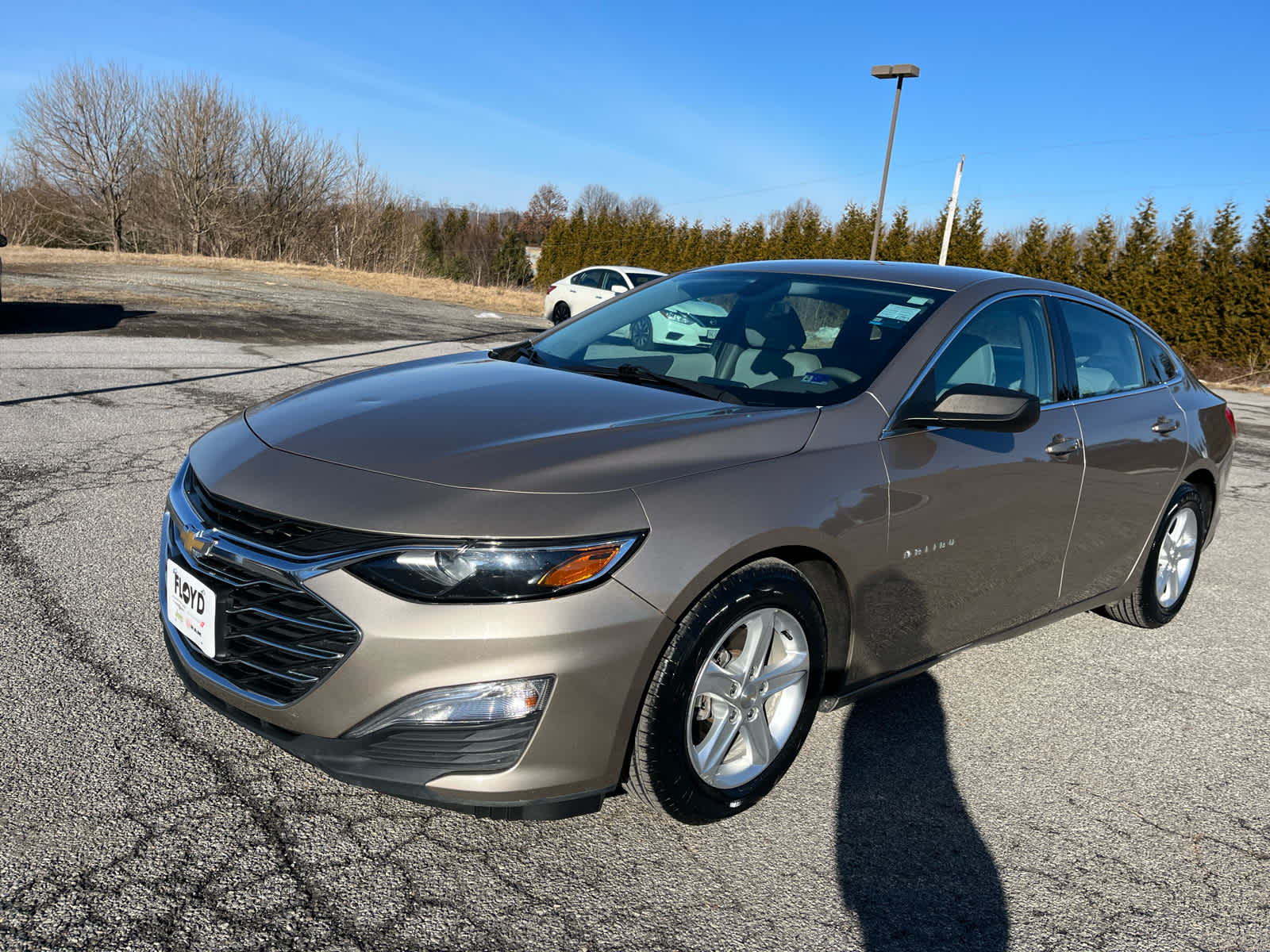 2022 Chevrolet Malibu FWD 1FL
